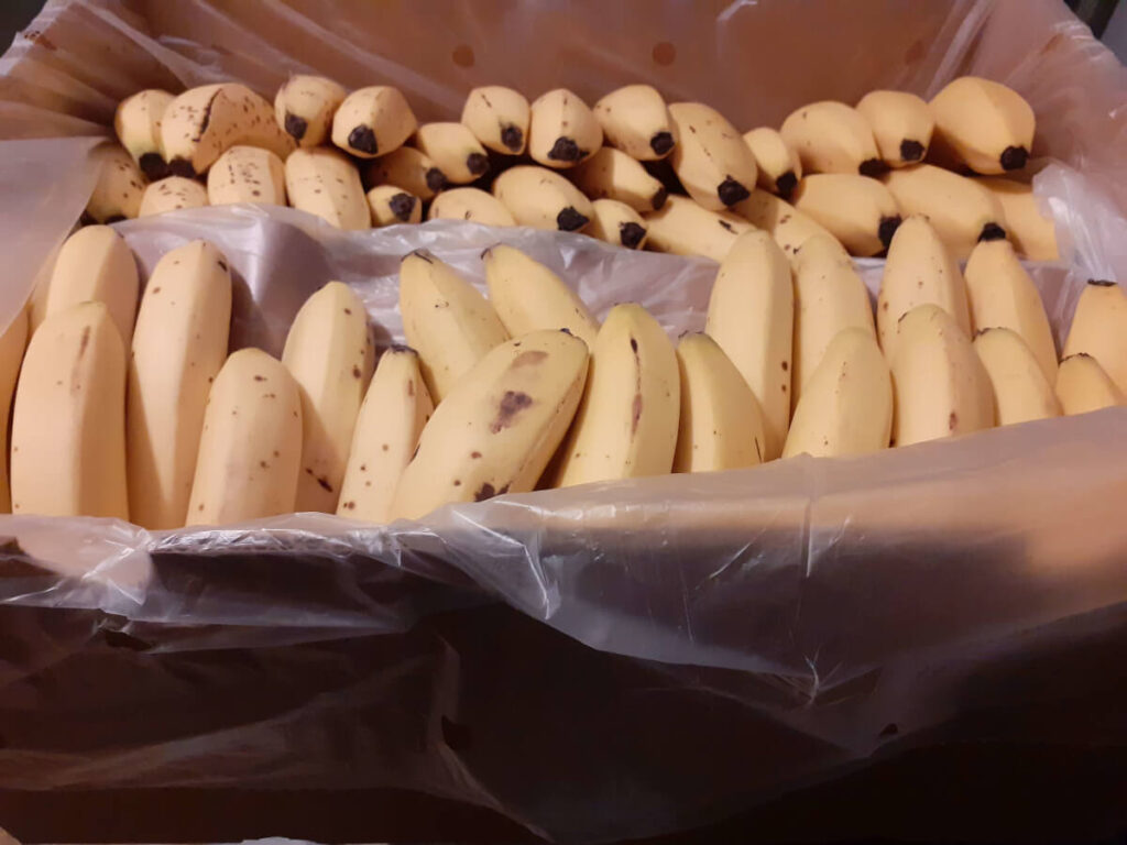 Box of Bananas