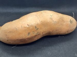 Sweet Potato