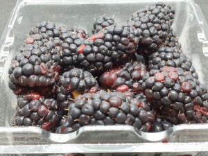 Blackberries