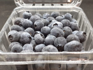 Blueberries