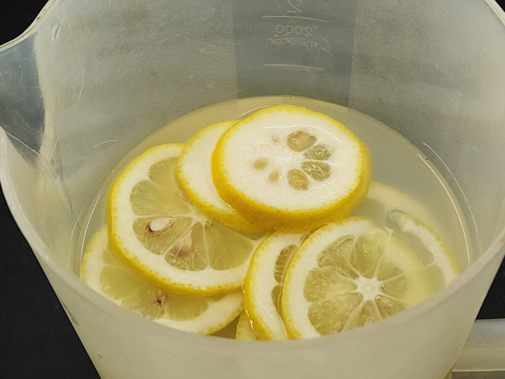 JAHZKITCHEN Top View Lemonade