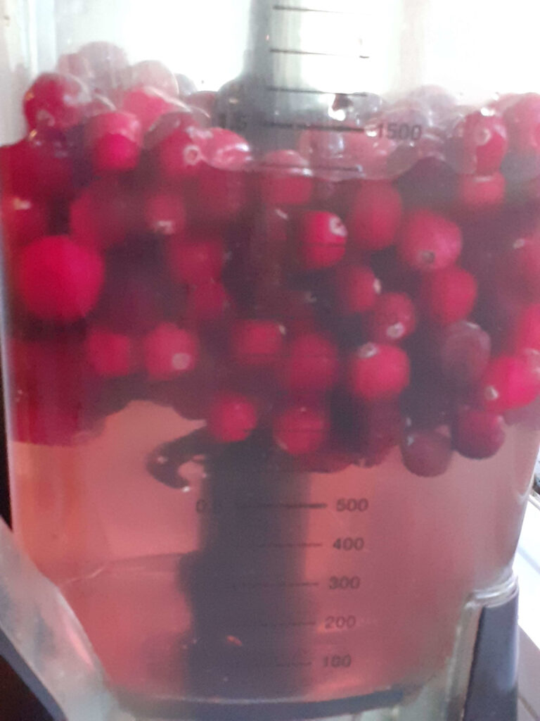 Cranberries and Distilled Water