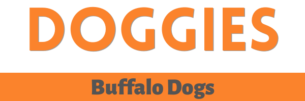 Buffalo Doggies Header