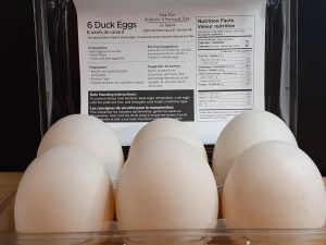 6 Pack Duck Eggs