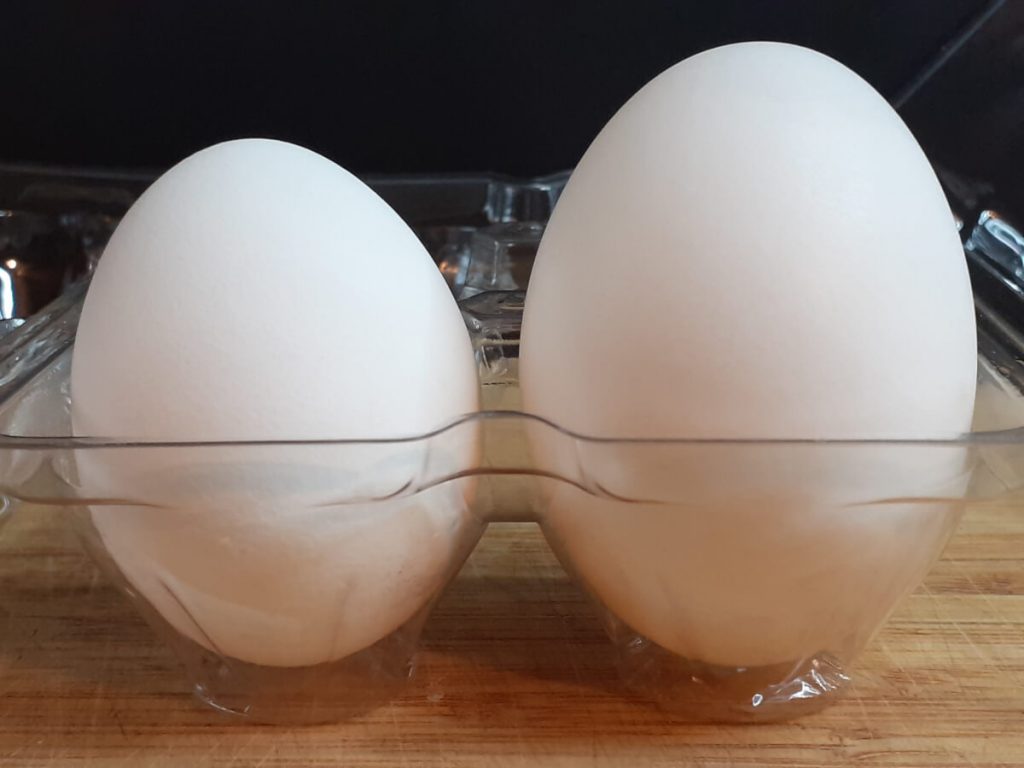 Large Chicken Egg vs Duck Egg