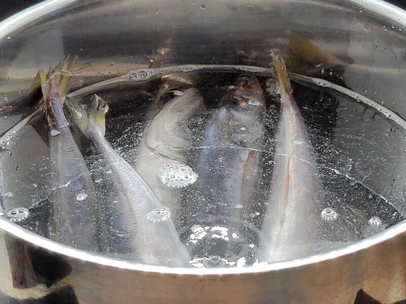 Direct Cold Water thawing Mackerel