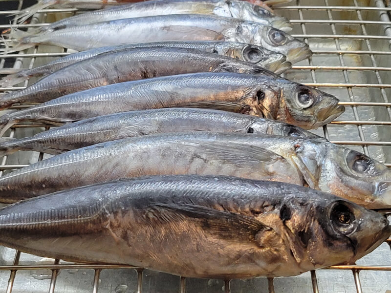 Gutted Mackerel resting on rack