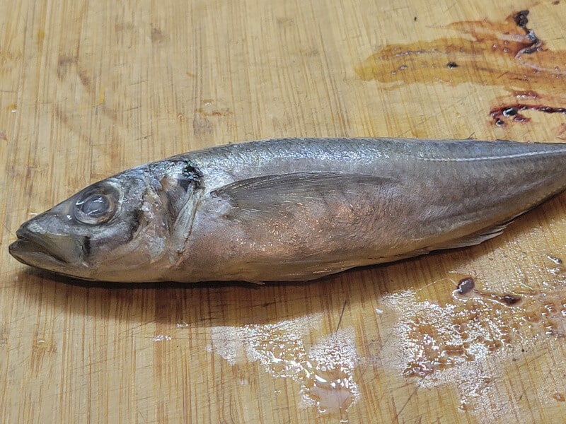 Placing Mackerel on cutting board