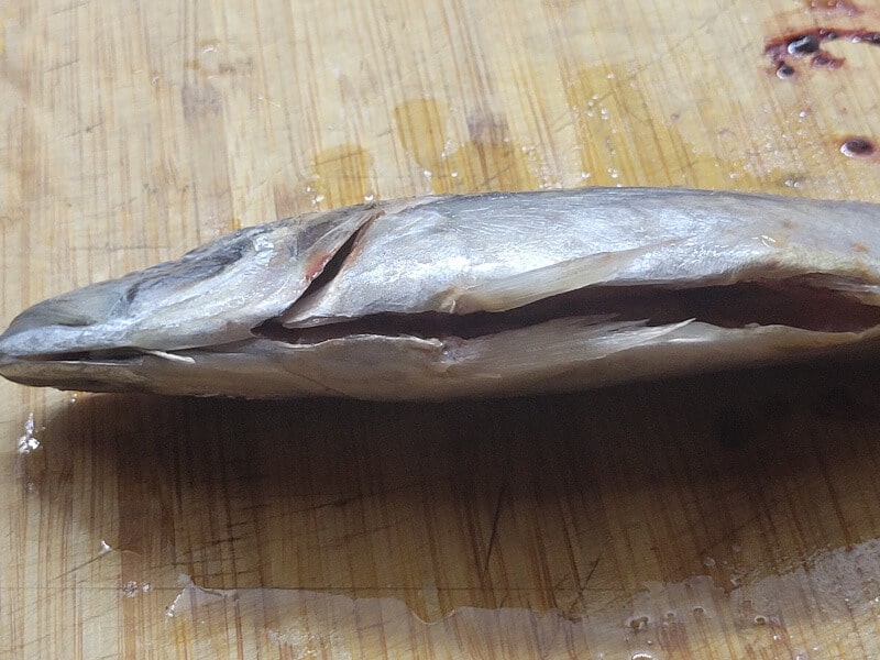 Slicing Mackerel to gut