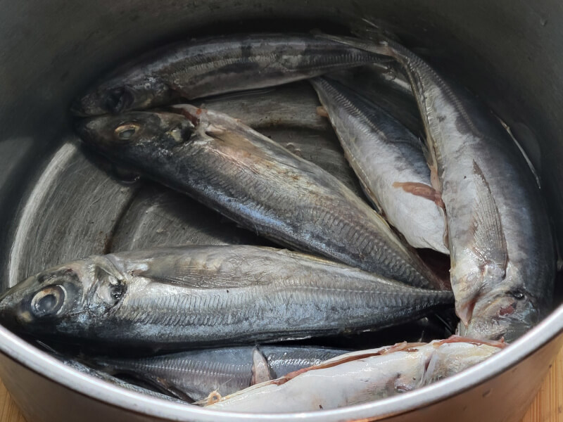 Strained Prepared Mackerel