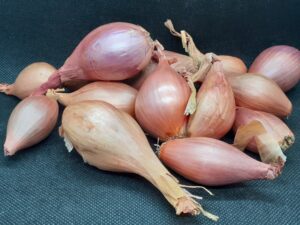 Shallots