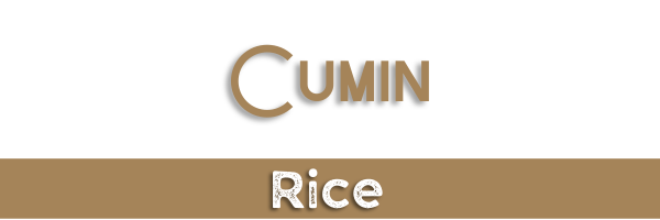 Cumin Rice Header
