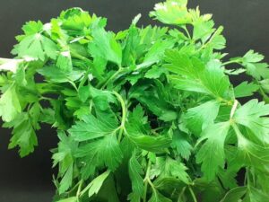 Fresh Parsley