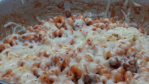 JAHZKITCHEN-Pizzappi-Melt-
