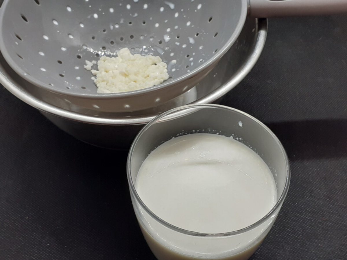 JAHZKITCHEN Kefir Drink and Grains