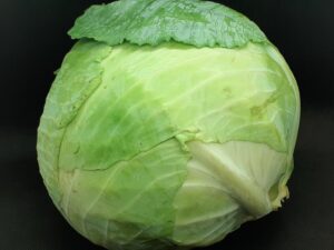 Cabbage