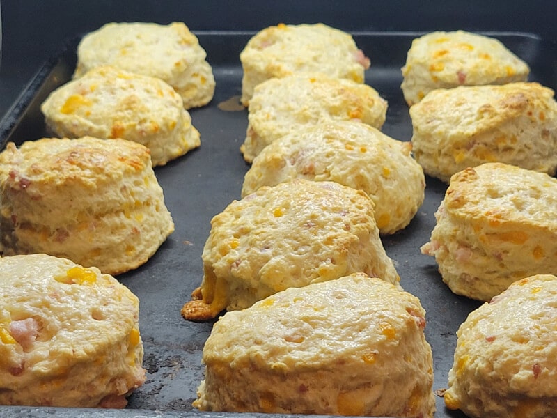 Oven Fresh Ham & Cheese Biscuits