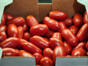 JAHZKITCHEN Box of Roma Tomatoes