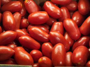 JAHZKITCHEN Roma Tomatoes