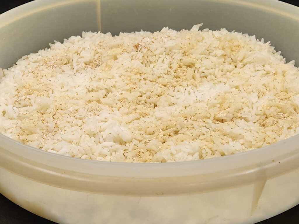 JAHZKITCHEN Day Old Rice with Shrimp Fried Rice Seasoning