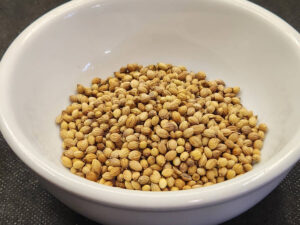 Coriander Seeds