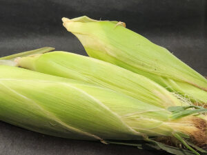 JAHZKITCHEN Ears of Corn