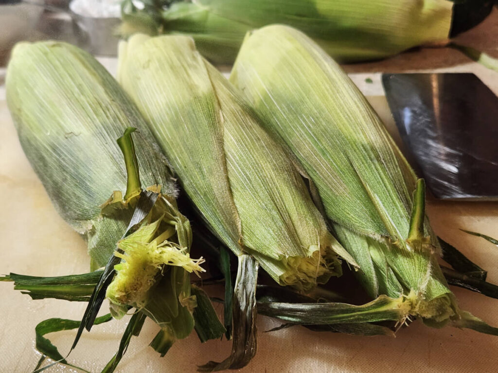JAHZKITCHEN Ears of Corn Brown Silk Chopped off