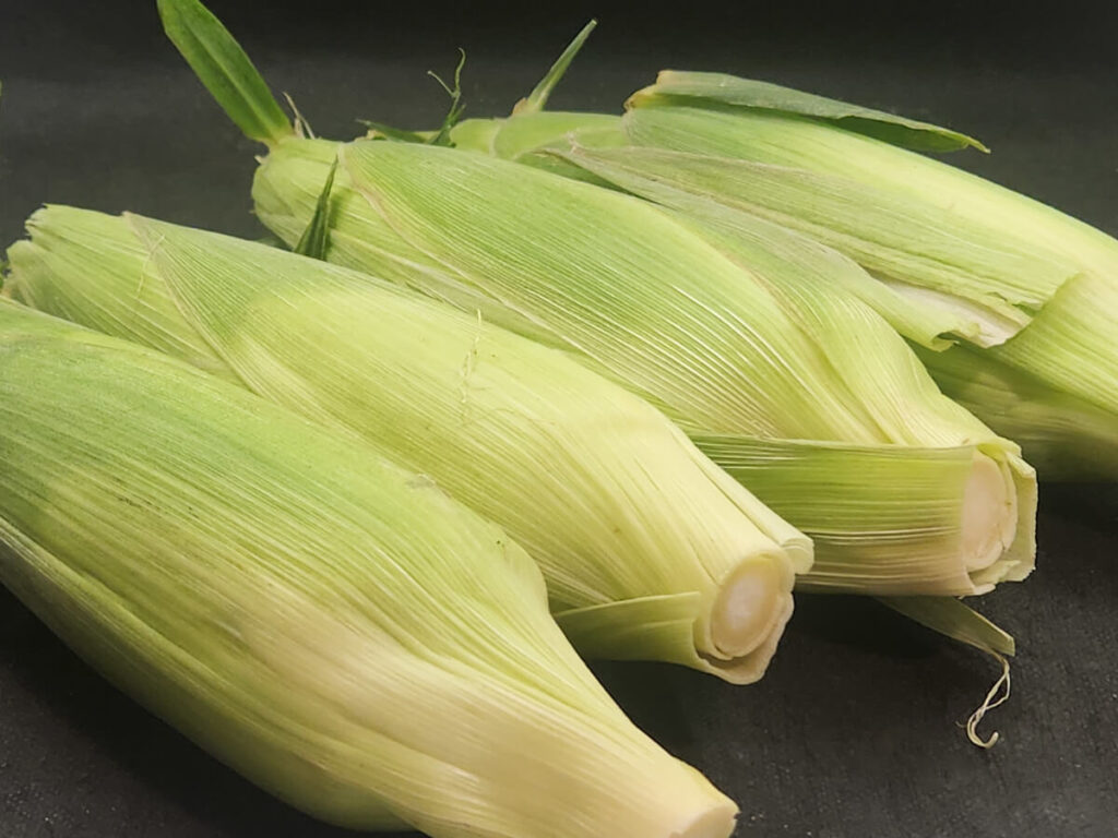 JAHZKITCHEN Ears of Corn root chopped off